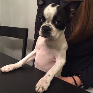 Meet your Posher, Caitlin